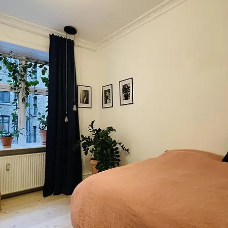 公寓 Apartmentincopenhagen 1584 哥本哈根